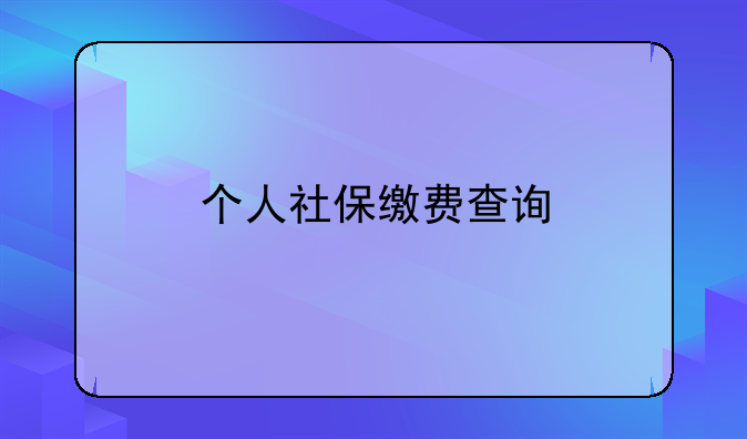 个人社保缴费查询
