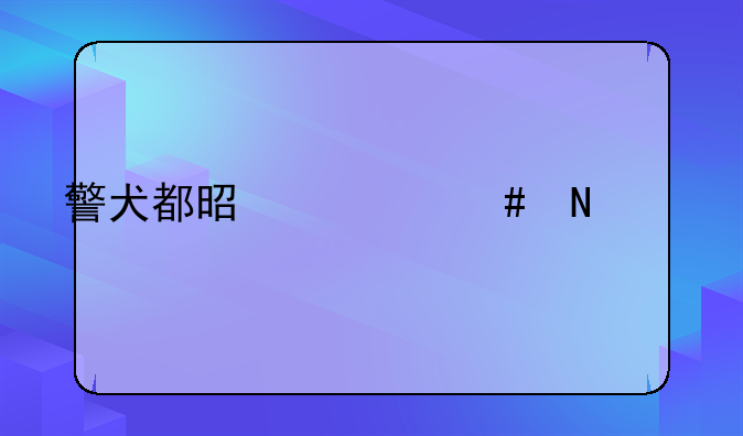 警犬都是什么品种