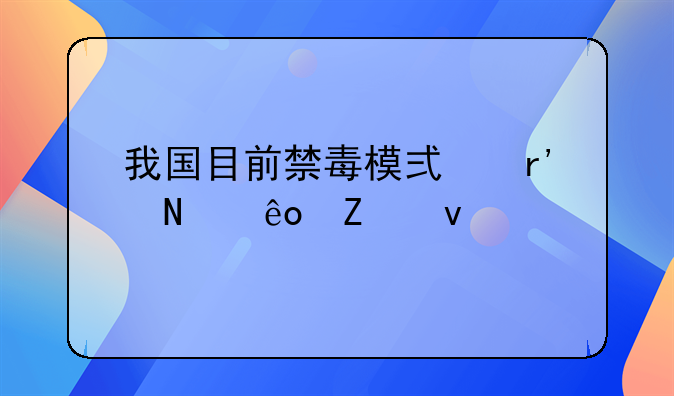 我国目前禁毒模式有哪些方面