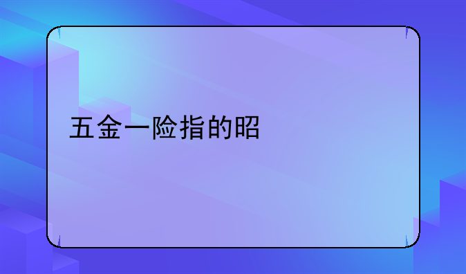 五金一险指的是什么
