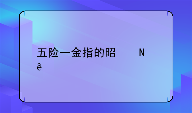 五险一金指的是哪些