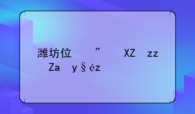潍坊住房公积金查询