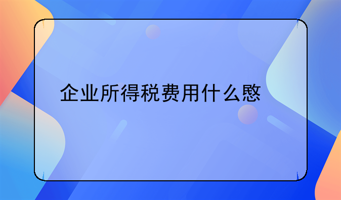 企业所得税费用什么意思