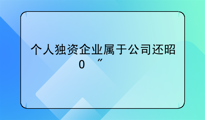 个人独资企业属于公司还是个体户