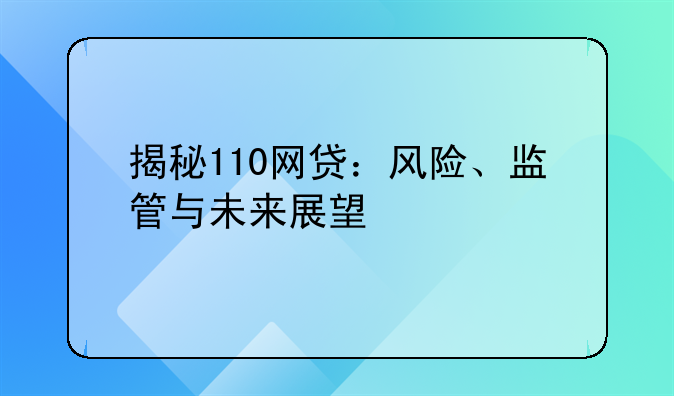 揭秘110网贷：风险、监管与未来展望