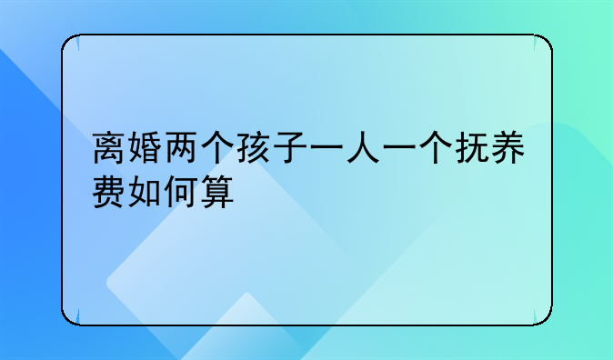 离婚两个孩子一人一个抚养费如何算