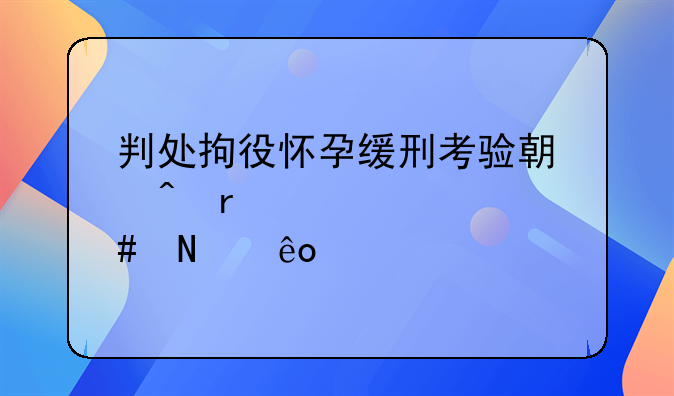 判处拘役怀孕缓刑考验期间需要遵守哪些规定