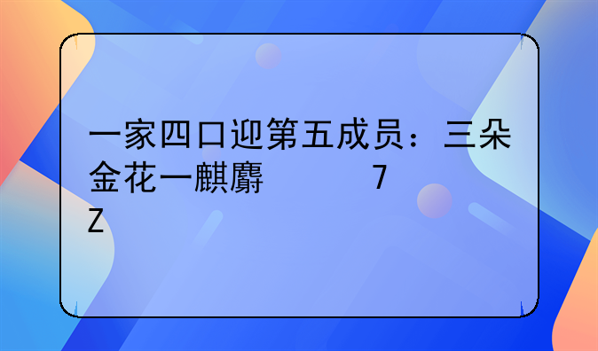 一家四口迎第五成员：三朵金花一麒麟再添新丁