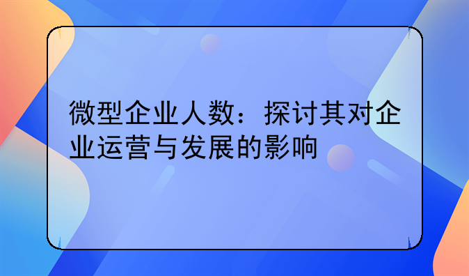 微型企业人数：探讨其对企业运营与发展的影响