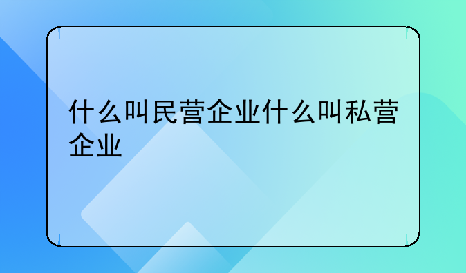什么叫民营企业什么叫私营企业